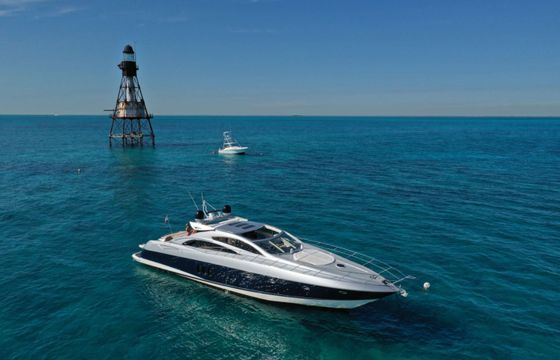 Sunseeker Lion