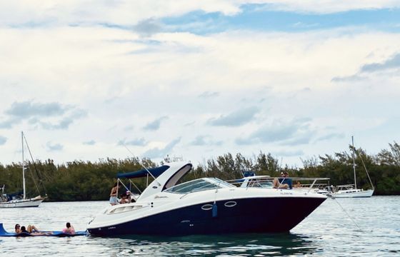 Sea Ray 32'