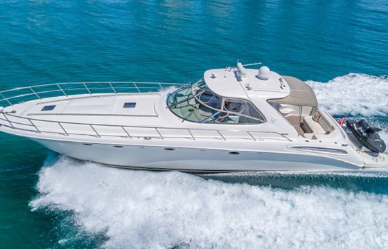 Sea Ray 54
