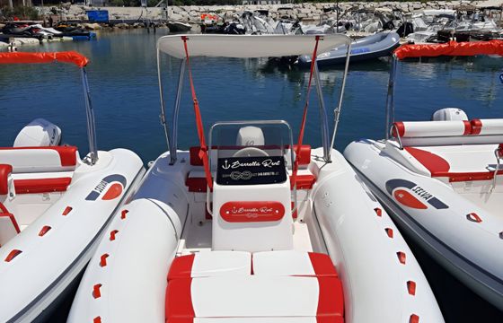 Selva 600