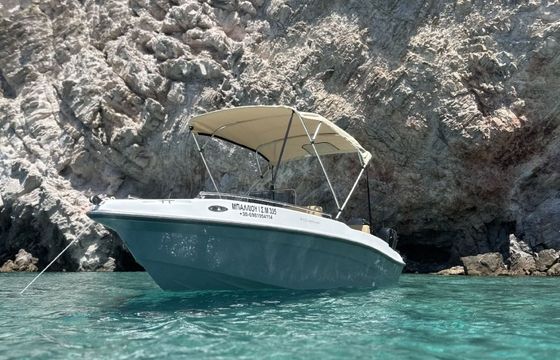 Nireus 490