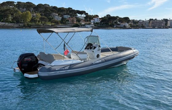 Salpa Soleil 20