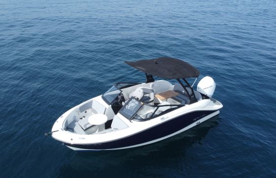 Bayliner v20