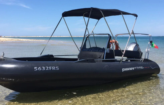 Pioner Touring 17