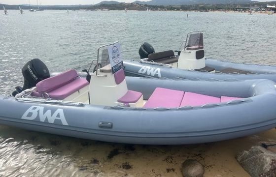 Bwa California 550