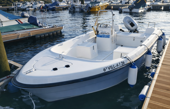 Quicksilver 500 Fish