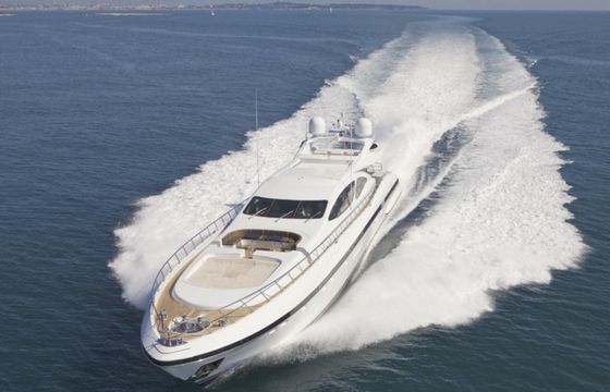 Mangusta