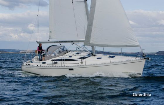 Delphia 40