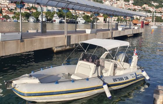 Marlin 20