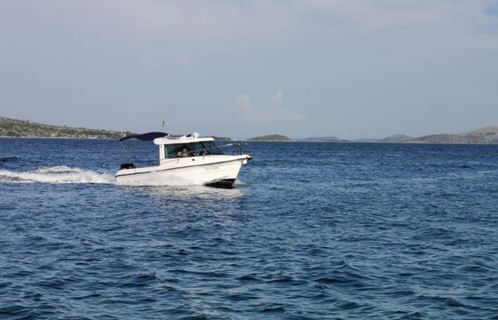 Sas Vektor 700