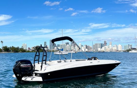 Bayliner Element XL