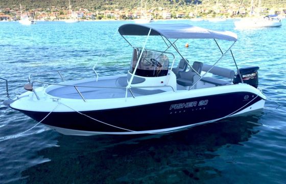 Fisher 20