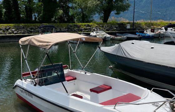 BARTEX Rybi 435