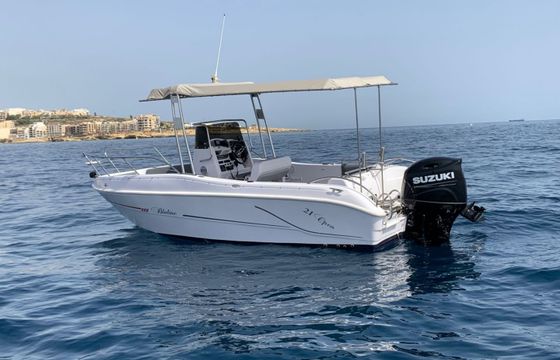 Bluline 21 Ft Open