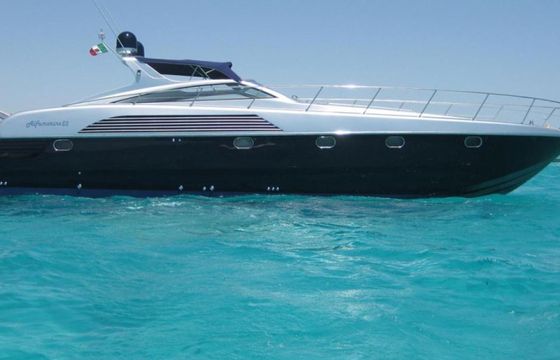 Alfamarine Fisrt50