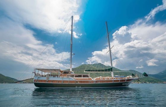 Custom built Sadri Usta 1