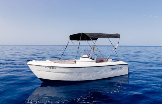 Pegazus 460