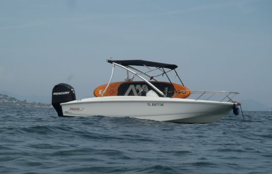 Boston Whaler 170 super sport