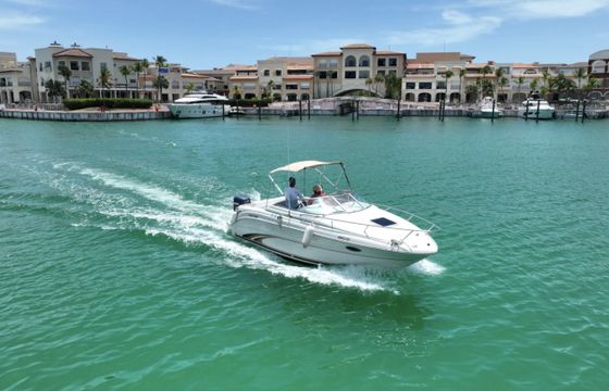 Sea Ray 245 Sundancer