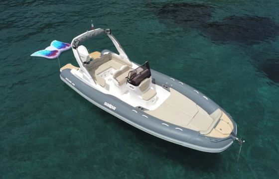 Salpa Soleil 26