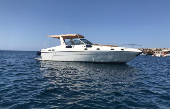 Fiart 34 Genius