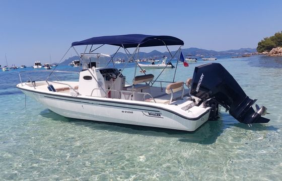 Boston Whaler 220 Dauntless
