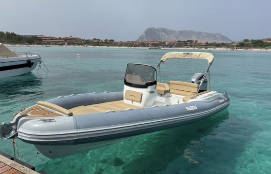 Salpa Soleil 23