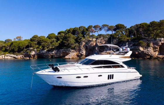 Princess 54
