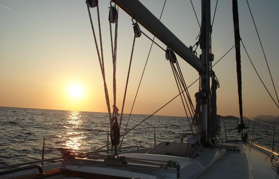 Bavaria 44
