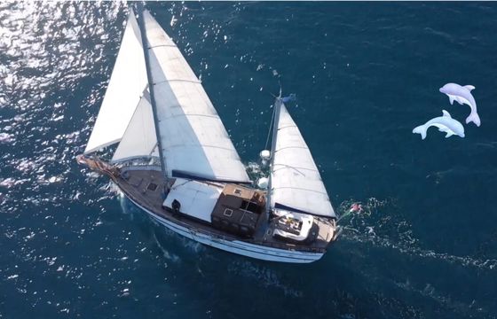 Custom Made Goletta 20