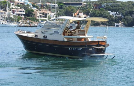 Apreamare 910