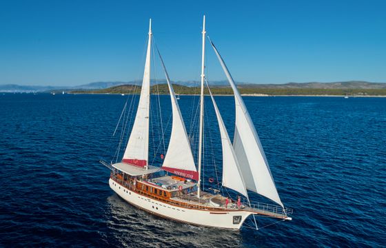 Custom Made M/s Morning Star