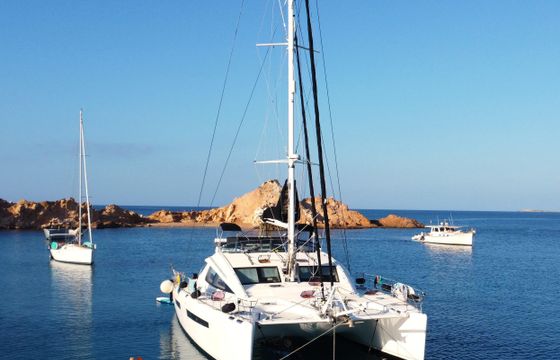 Alliaura Marine Privilege 615