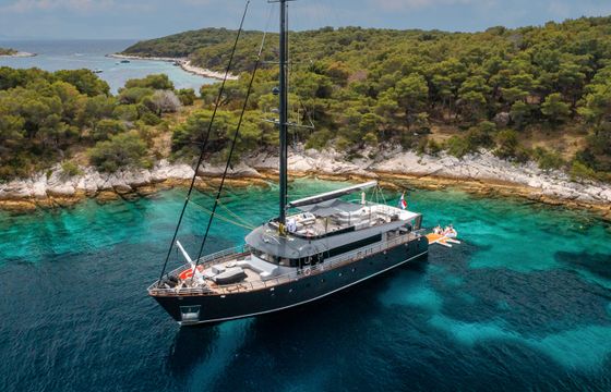 M/s Rara Avis