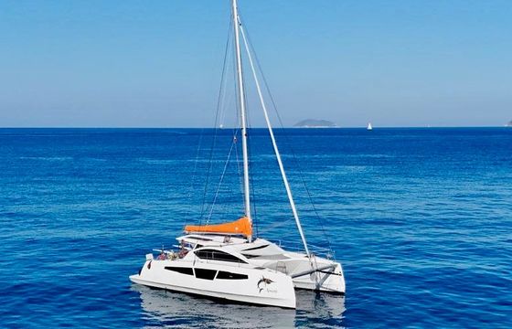 C-cat 37