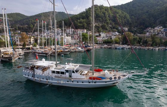 Gulet Diamond Lila