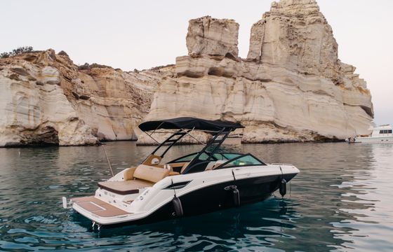 Sea Ray 250 Sdx