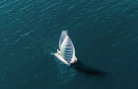 Lagoon 43