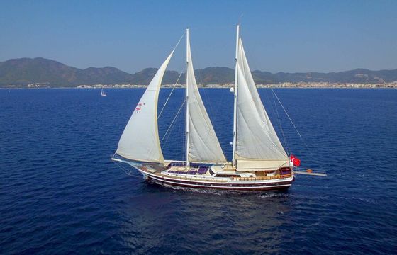 M/s Perla Del Mar Ii