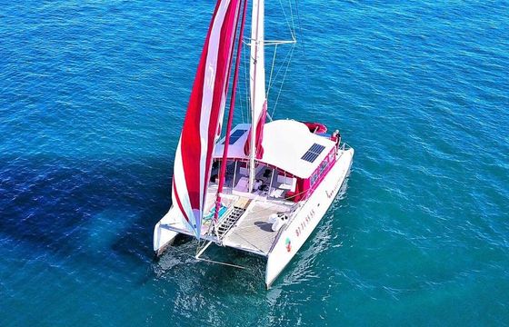 Ocean Voyager 53