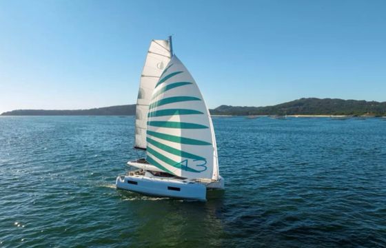 Lagoon 43 (3 Cab)