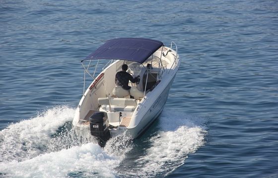 Quicksilver Commander 600