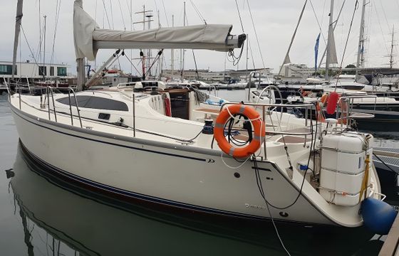 Delphia 40.3