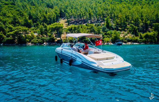 Rinker 246 Captiva Bowrider