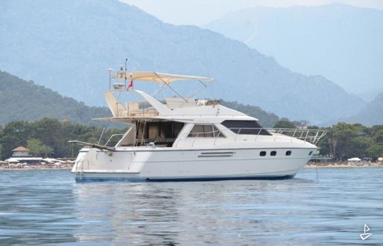 Princess 50