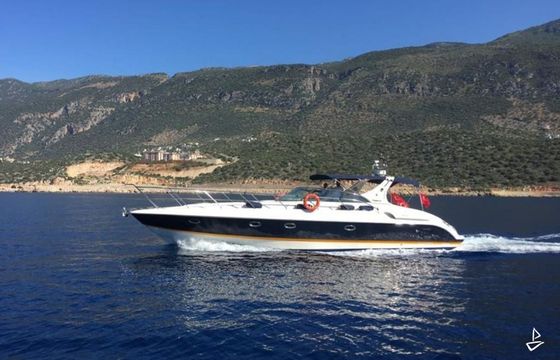 Marin Craft 45