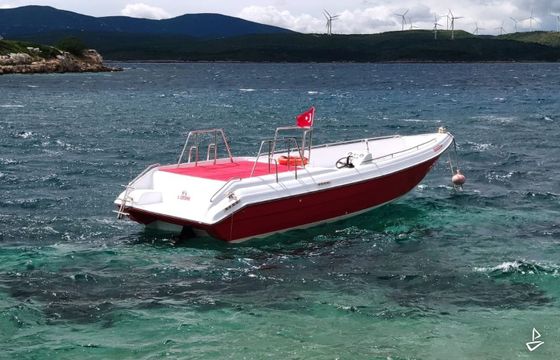 Custom Made Motorboat
