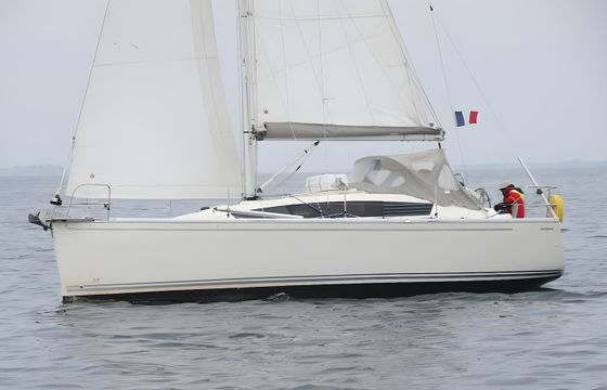 Delphia 31