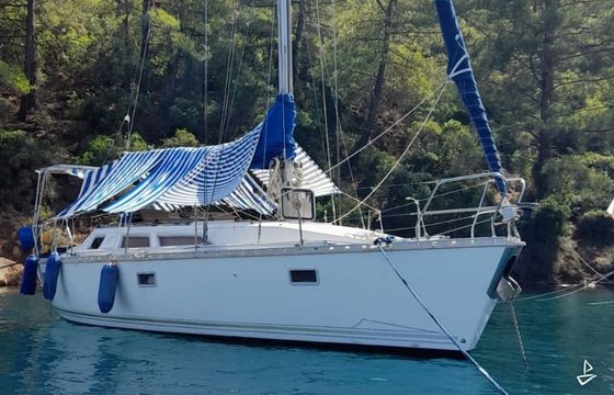 Sundance Sailboat