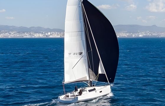 Pogo 36